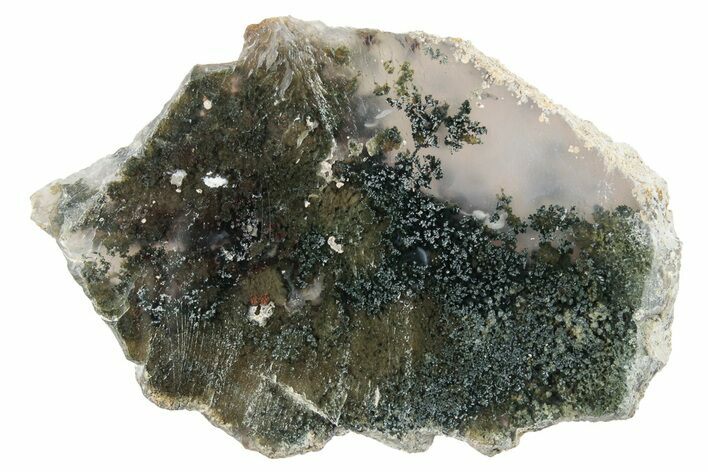 Polished Moss Agate Slab - Java, Indonesia #271500